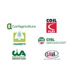TABELLE RETRIBUTIVE OPERAI AGRICOLI E FLOROVIVAISTI PROVINCIA DI RAGUSA IN VIGORE DAL 1°GIUGNO 2026